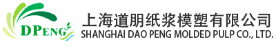 上海道朋紙漿模塑有限公司