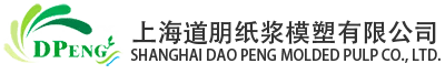上海道朋紙漿模塑有限公司