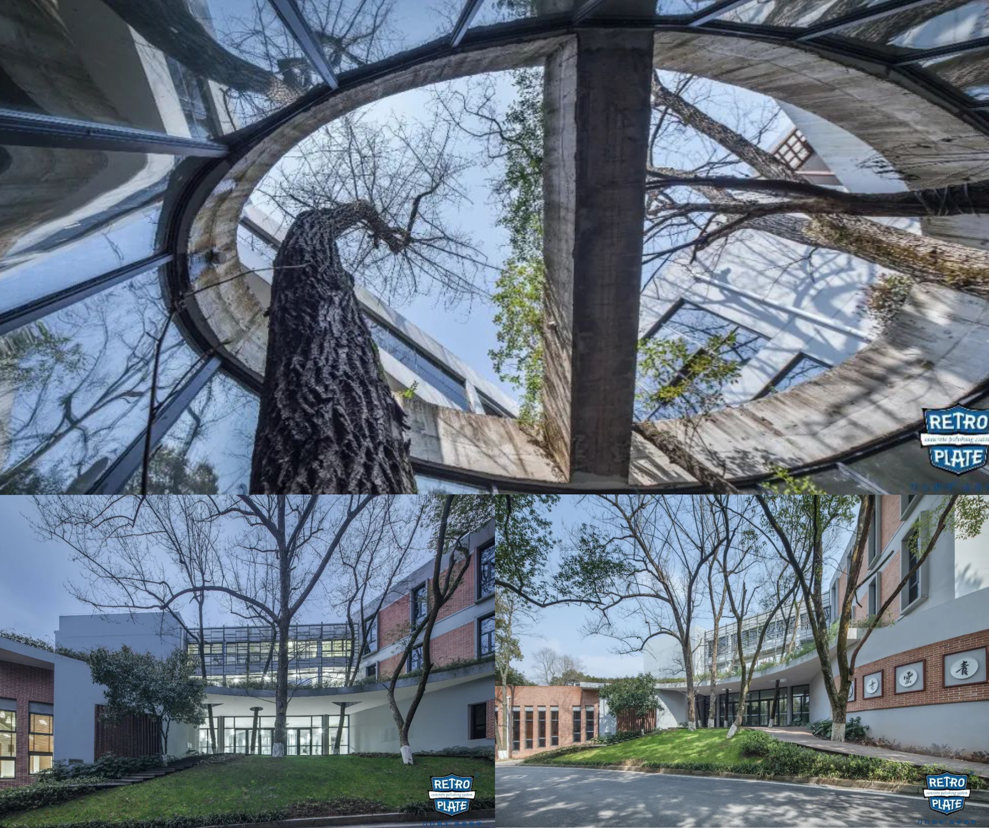 醴陵一中圖書館