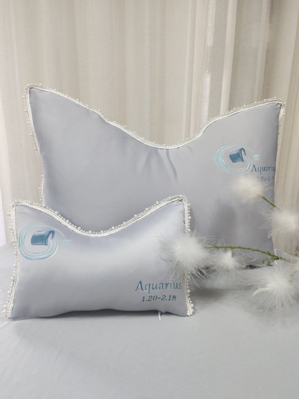 12星座禮物定制-水瓶座抱枕