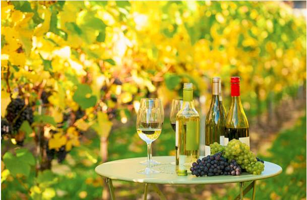 派克漢尼汾│為什么葡萄園選擇氮氣發(fā)生器？