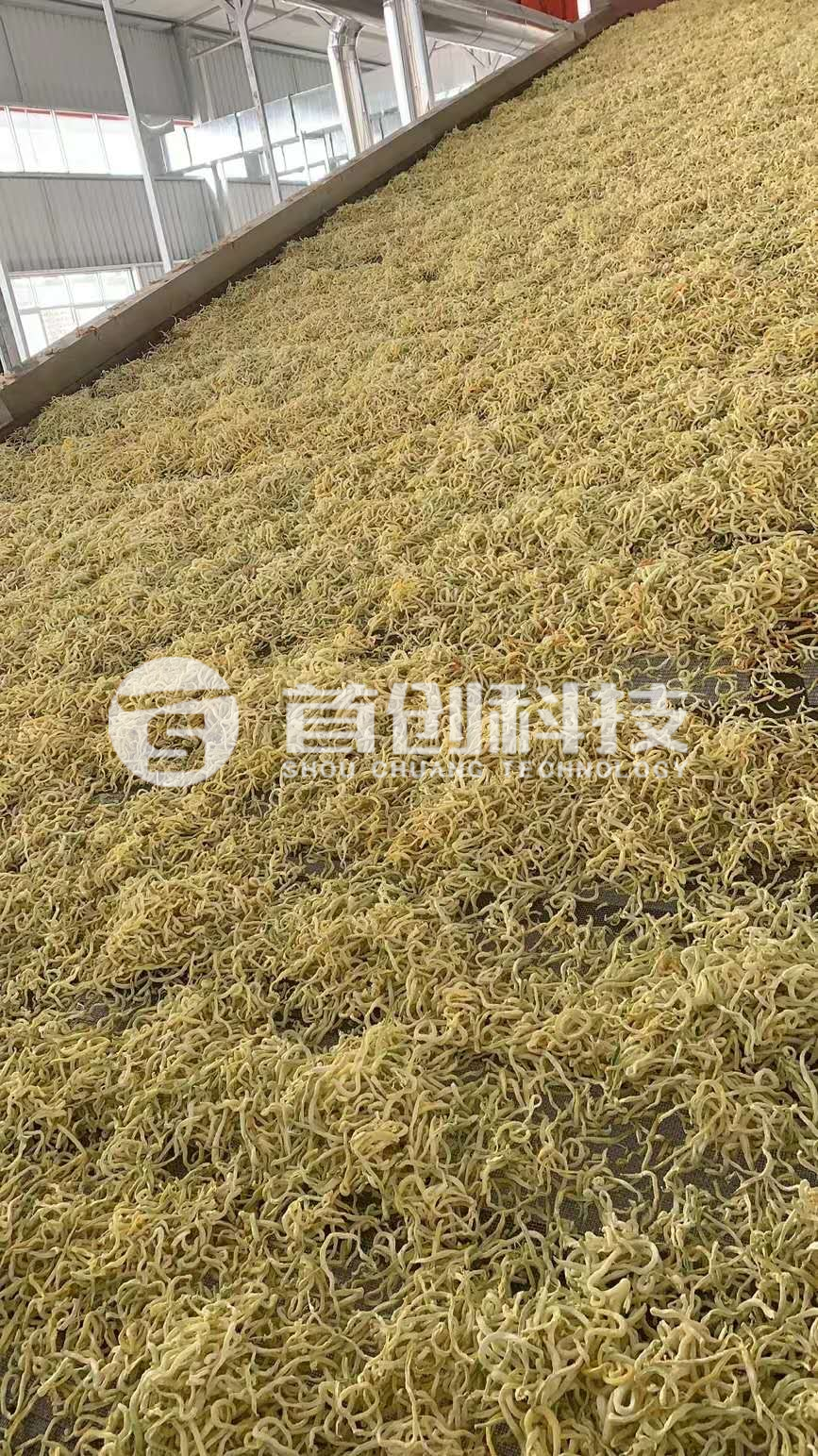 木瓜絲烘干設(shè)備.jpg