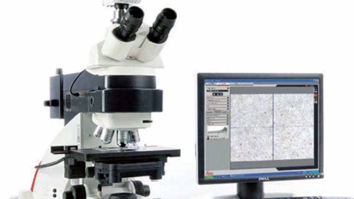 美国科学家用徕卡S9D 研究降解的塑料颗粒对海洋生物的恶性影响