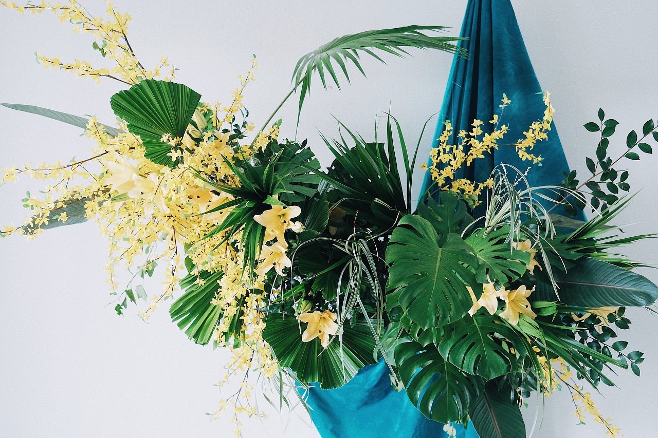 新颖的植物家具