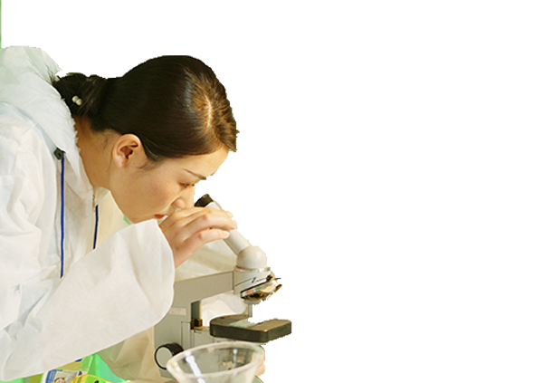 新材料科技 新材料科技