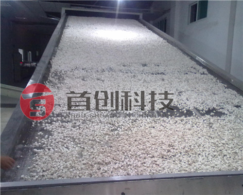 網(wǎng)帶式茯苓干燥設(shè)備.jpg