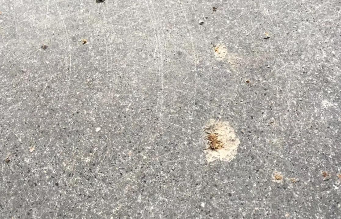 旧地面翻新