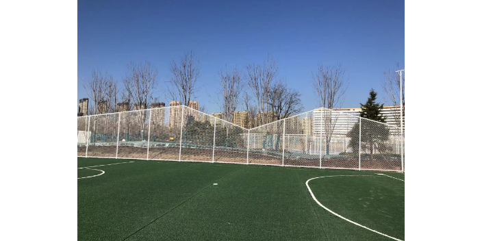 飞泽-开云体育：深耕体育围网，成就可靠品牌