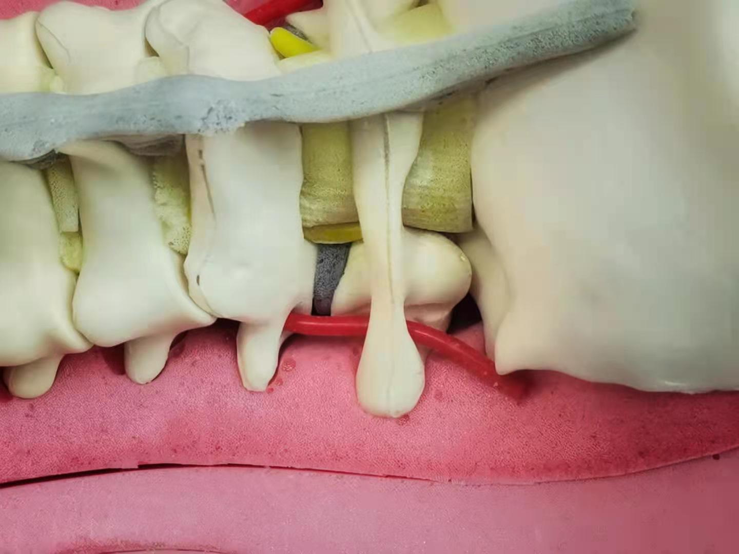 e6fdfefa225ccb7a892271f7d776d28.jpg