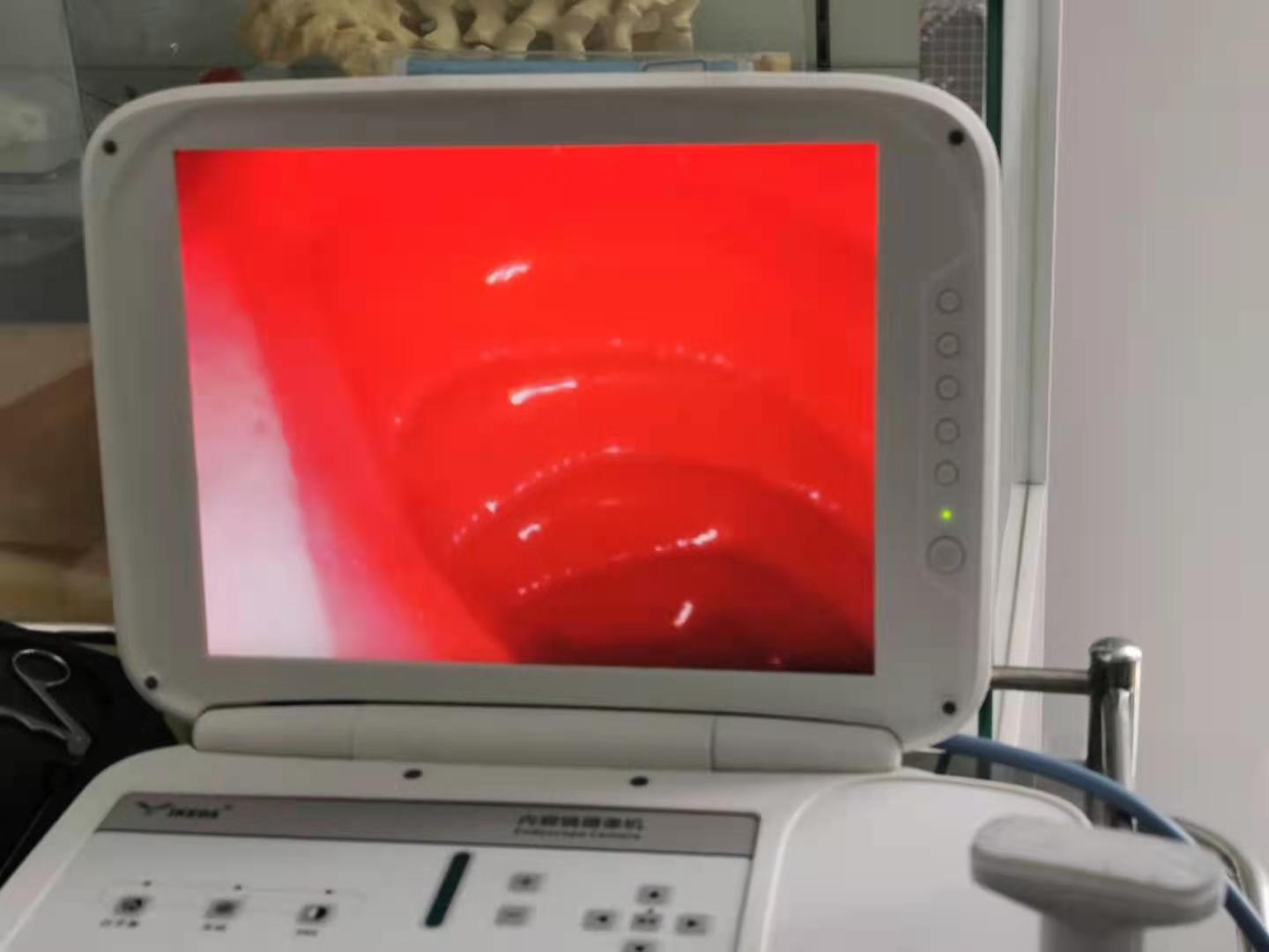 45c0fc9e2eeaaa356e63eb24fbea4d1.jpg