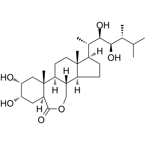 Epibrassinolide (表油菜素內酯）