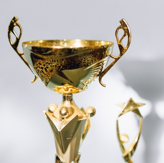 荣誉奖杯