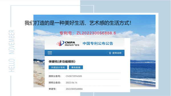 叢生蝶形枕專利產品介紹