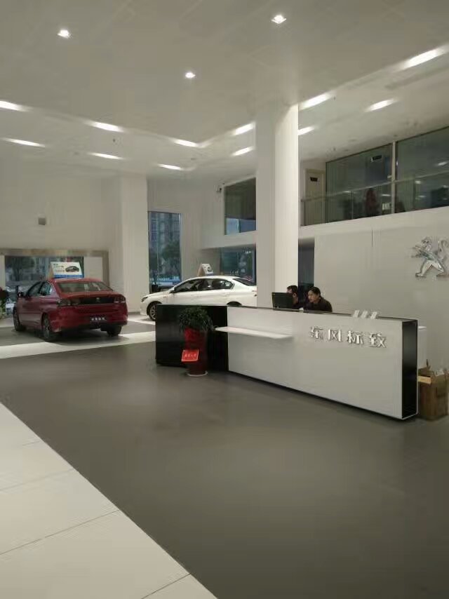 湖南湘潭東風標致4S店 (3).jpg