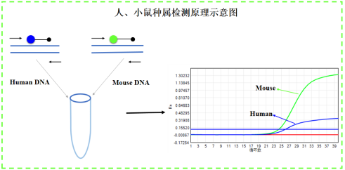 上海翼和应用生物有限公司