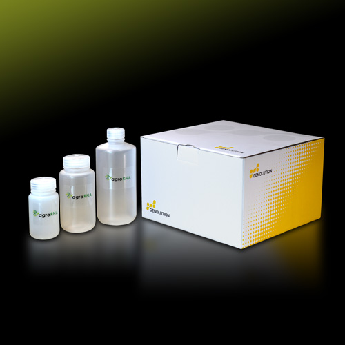 RNAi 技術(shù)平臺(tái)