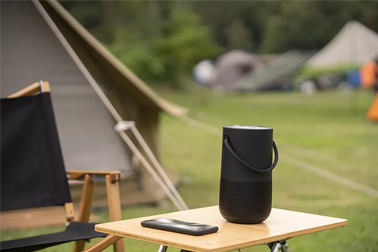 微型駐極體傳聲器的特點解析