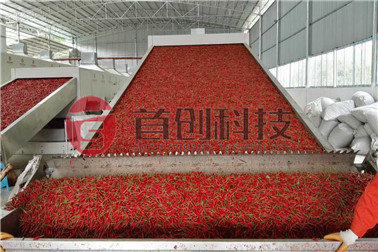 大型網(wǎng)帶式辣椒烘干機.jpg