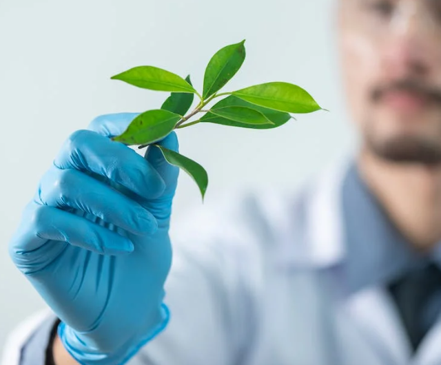 疫苗即將投入市場(chǎng)，未來冷鏈監(jiān)測(cè)系統(tǒng)會(huì)迎來什么挑戰(zhàn)？