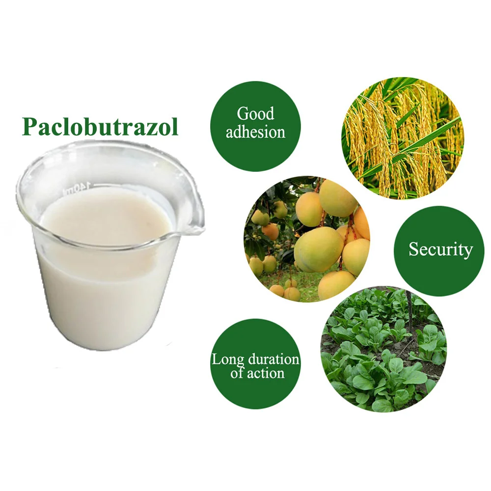 High Quality Plant Growth Regulator Paclobutrazol - Manufacturer & Wholesale