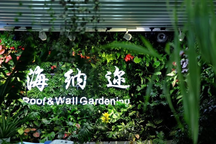 浅谈植物墙的手艺生长