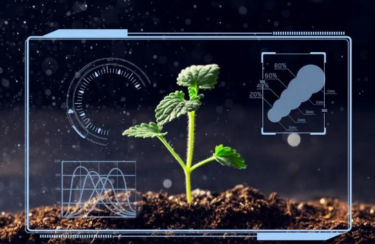 物聯(lián)網(wǎng)系統(tǒng)讓農(nóng)業(yè)管理更高效