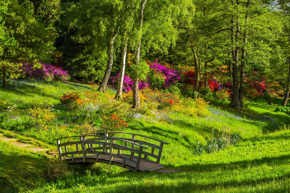 廣東米格陽光科技有限公司一行來麗江市考察