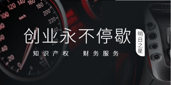 浦東新區(qū)貿(mào)易公司代辦注銷(xiāo)專(zhuān)業(yè)代辦公司 抱誠(chéng)守真 上海明日之星供應(yīng)
