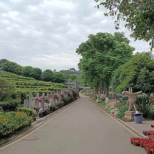 園區(qū)圖片