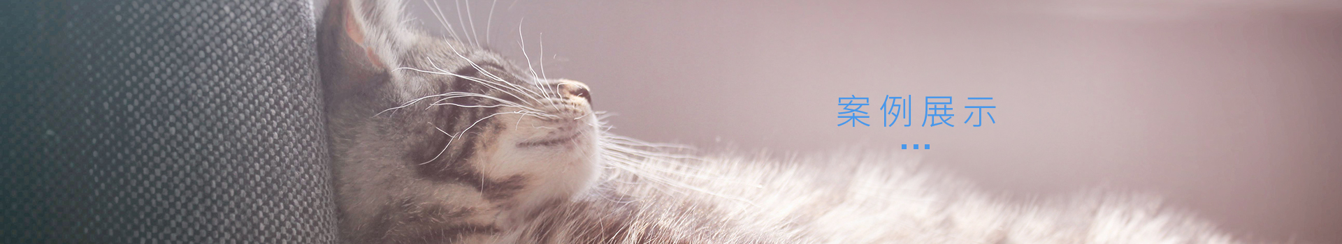 wKj2K2NPciuActRrAARo-DomvyI973