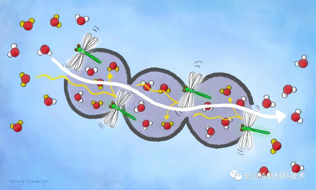 突破性材料在室溫下將重水與普通水分離