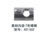Temposonics 配件 基礎(chǔ)溝道-T形螺帽   型號：401602