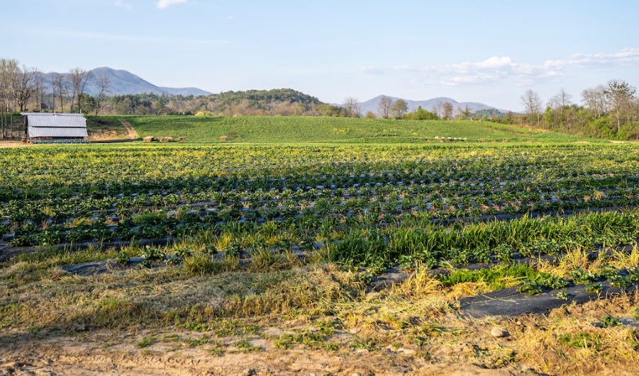 溫室氣體監測指南上線！