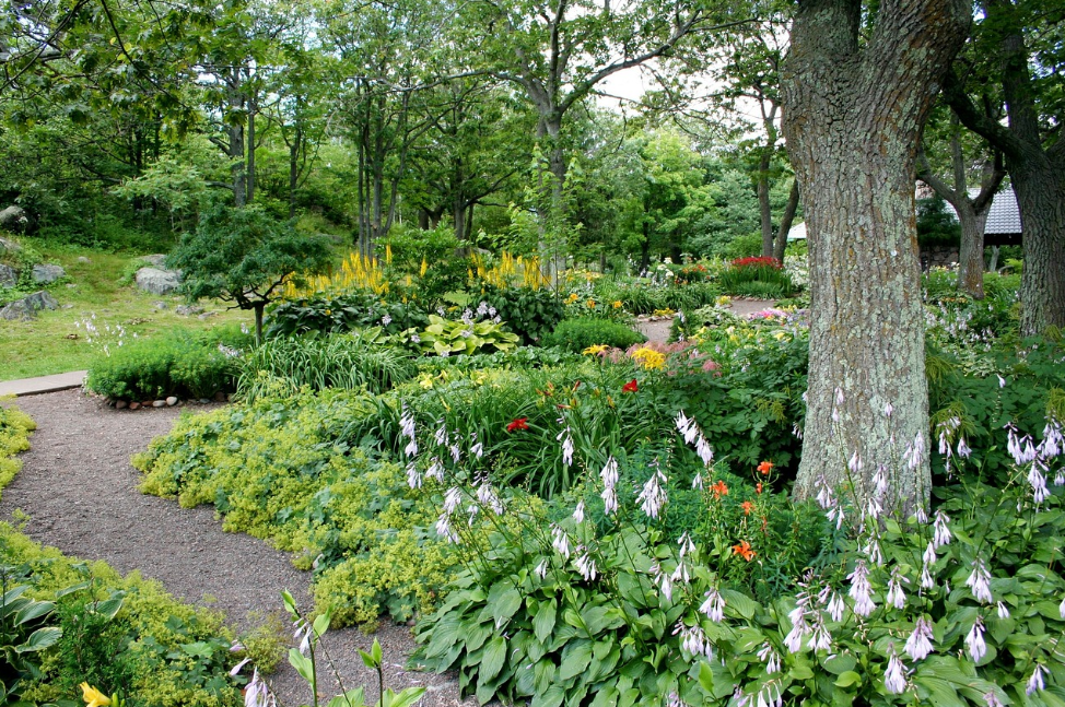 萬綠生態少球無球法桐，春風自此不再惱人