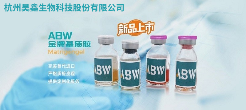 濱江區(qū)低細(xì)胞凋亡率基質(zhì)膠-類器官培養(yǎng)誰家好 歡迎咨詢 杭州昊鑫生物供應(yīng)