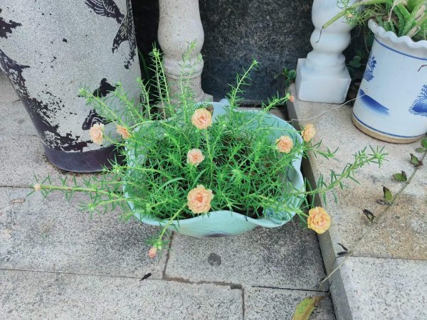 家裝