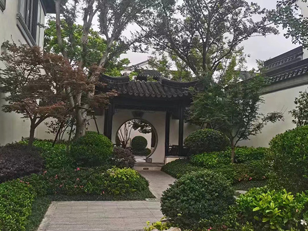 桃花源一期73号