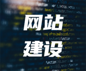 域名注册查询、网站搭建、网站设计等