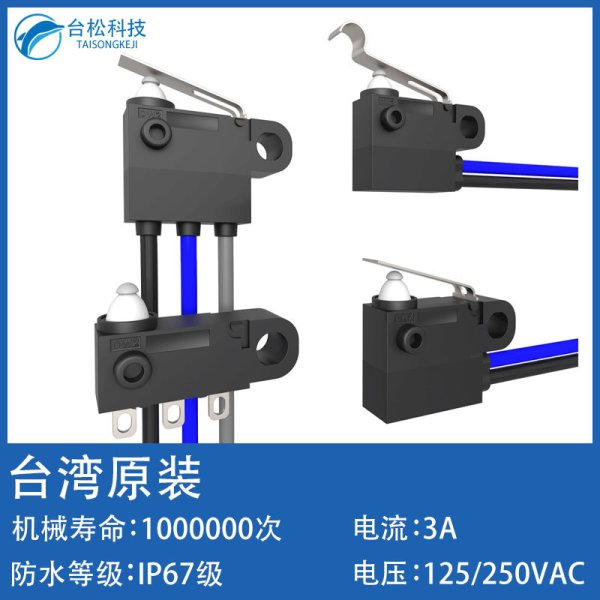 中國臺灣ZIPPY新巨防水微動開關DW2行程限位汽車尾門 充電槍開關