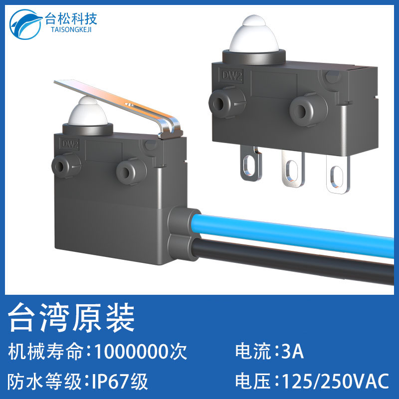 中國臺(tái)灣ZIPPY新巨防水微動(dòng)開關(guān)DW2行程限位汽車尾門 充電槍開關(guān)