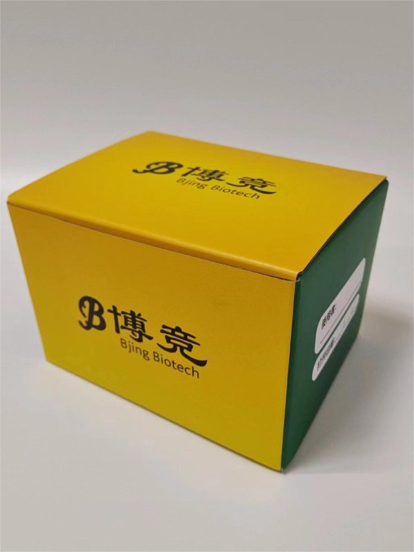 BJR1050 微量總RNA快速提取試劑盒