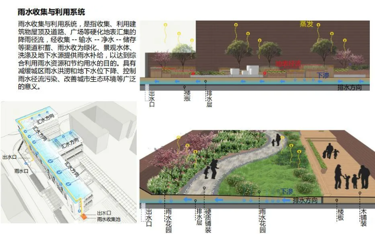 造林绿化领域迎来政策支持 园林行业景气向好
