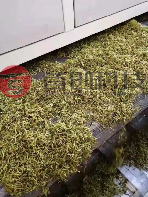 金銀花烘干機-大型金銀花烘干設(shè)備