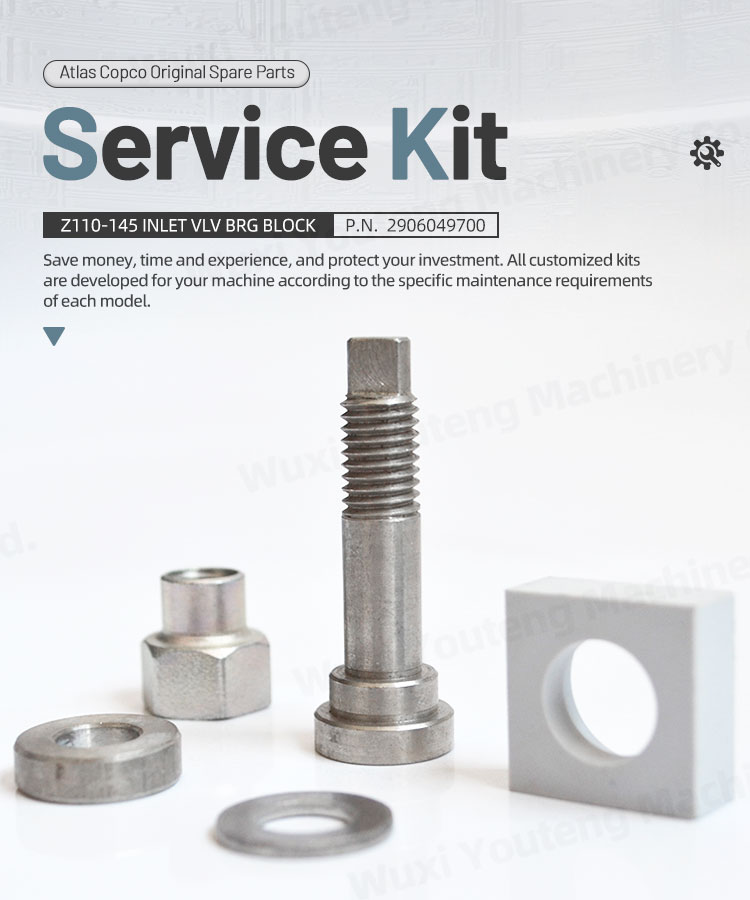 Z110 Z145 Atlas Intake Valve Repair Kit 2906049700