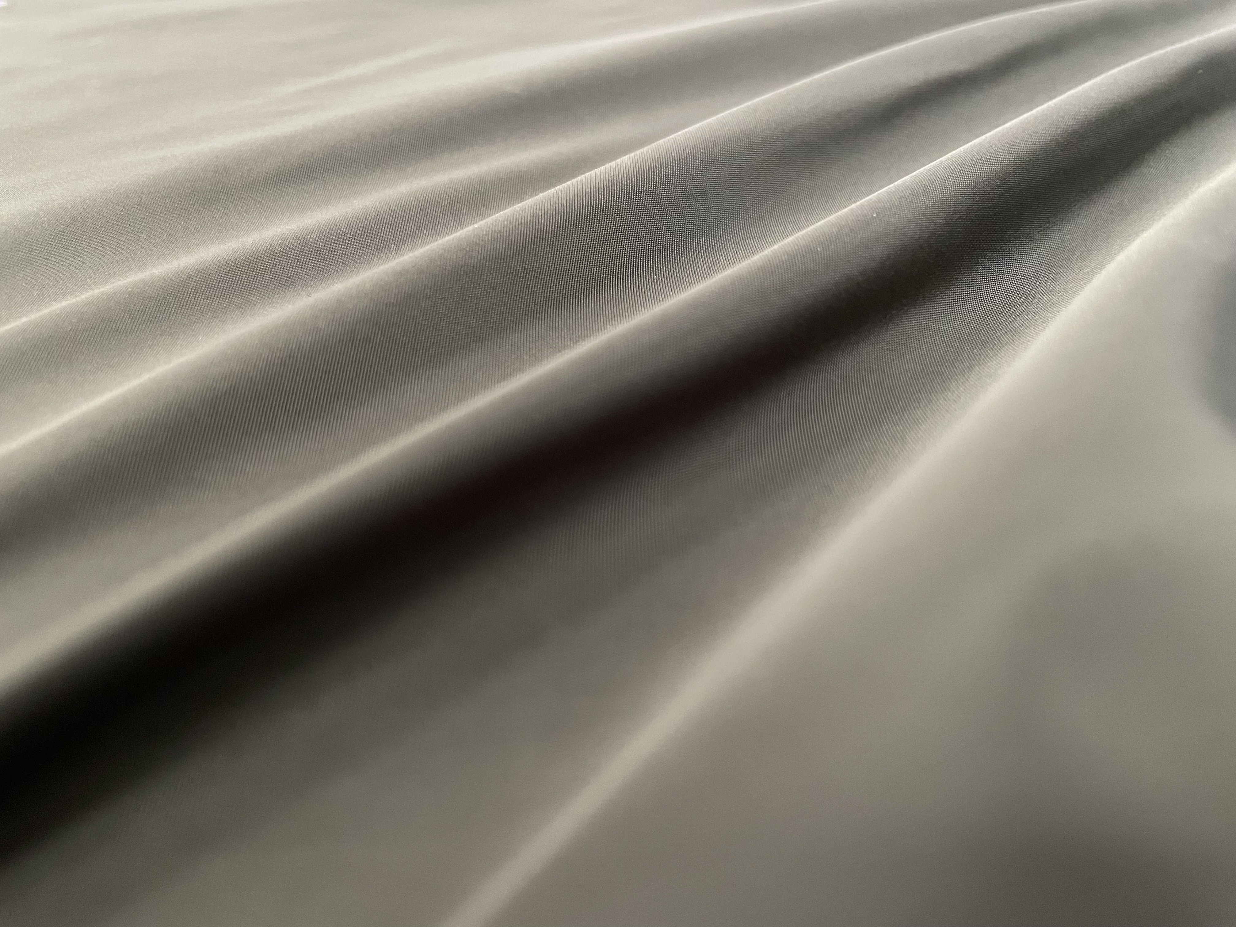 P1233 P1233