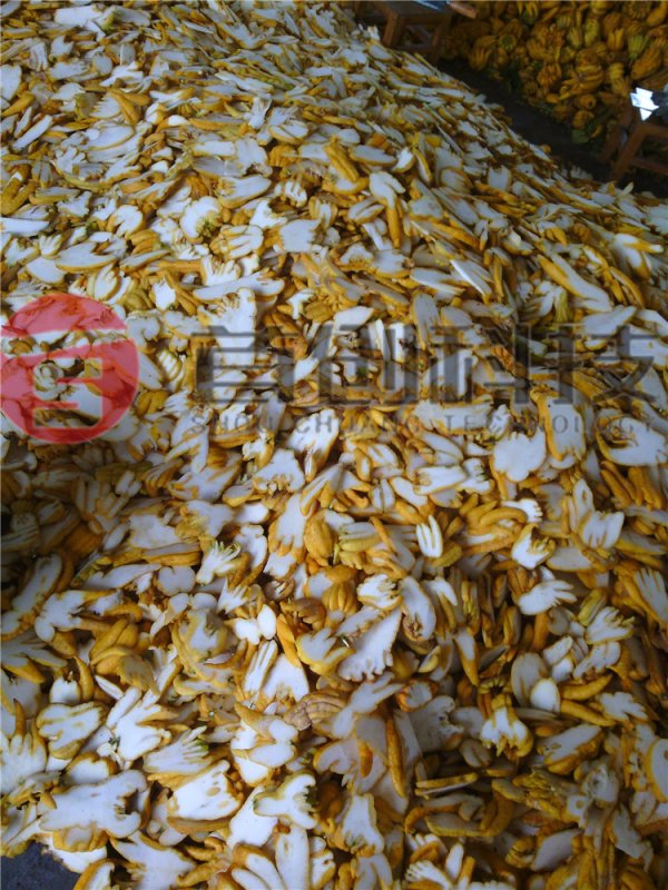 佛手烘干設備-大型佛手烘干機-連續(xù)式佛手干燥機械