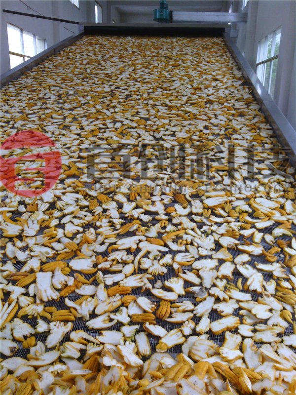 佛手烘干設備-大型佛手烘干機-連續(xù)式佛手干燥機械