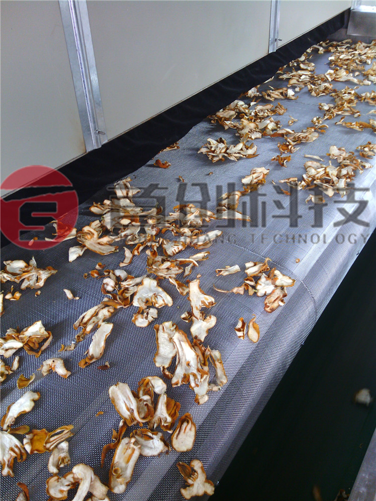 專(zhuān)業(yè)佛手柑烘干設(shè)備具有哪些優(yōu)勢(shì)？