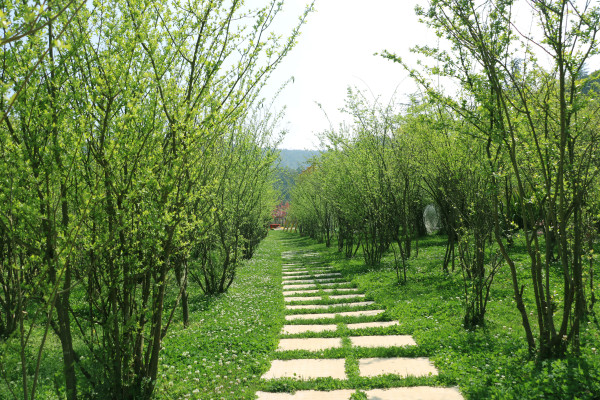 昆明公司團(tuán)建二龍湖團(tuán)建基