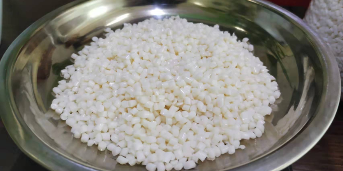 邁向零廢棄時代，可降解產品綠色生活新風尚